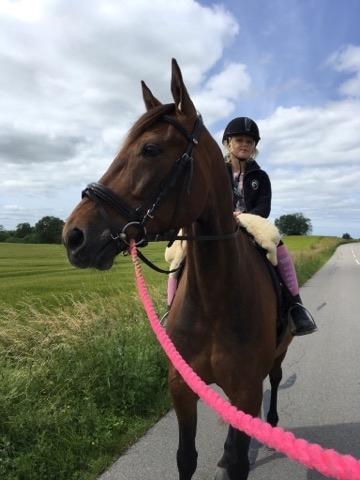 Traver Rain Man H billede 1