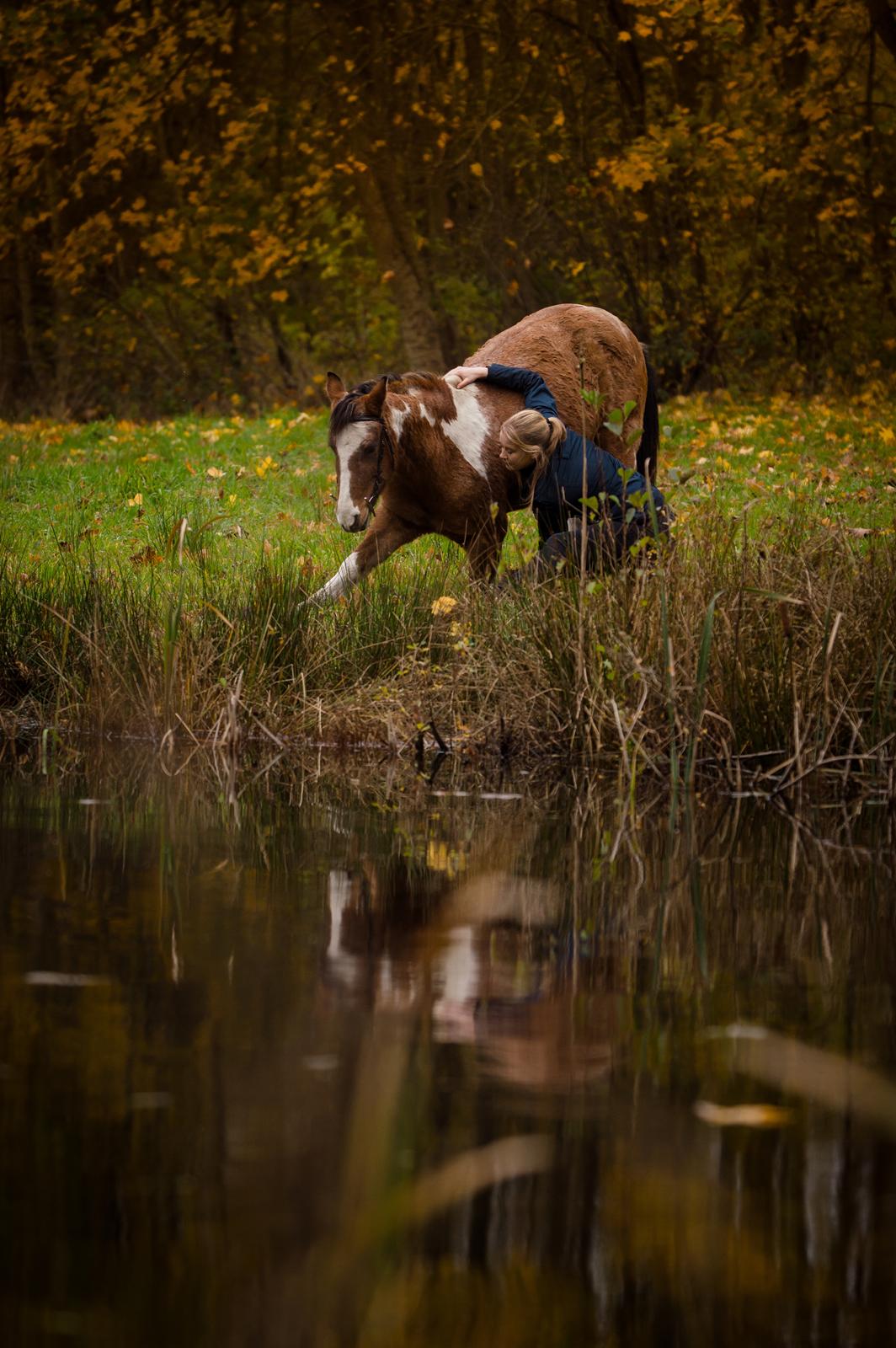 Anden særlig race Shrek | Himmelhest billede 19