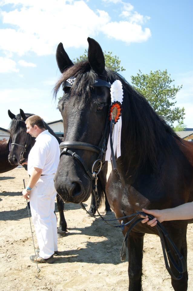 Frieser Hilde fan breuningswyck billede 7