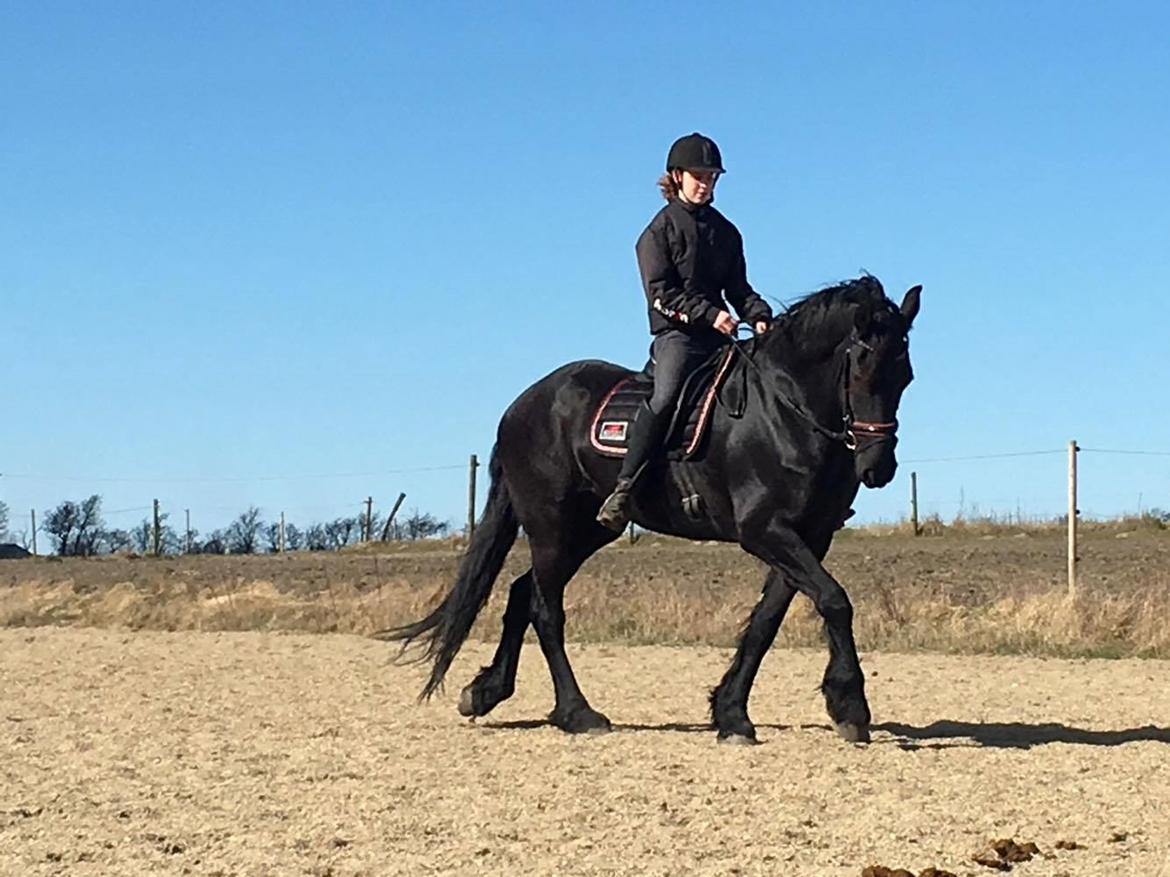 Frieser Hilde fan breuningswyck billede 20