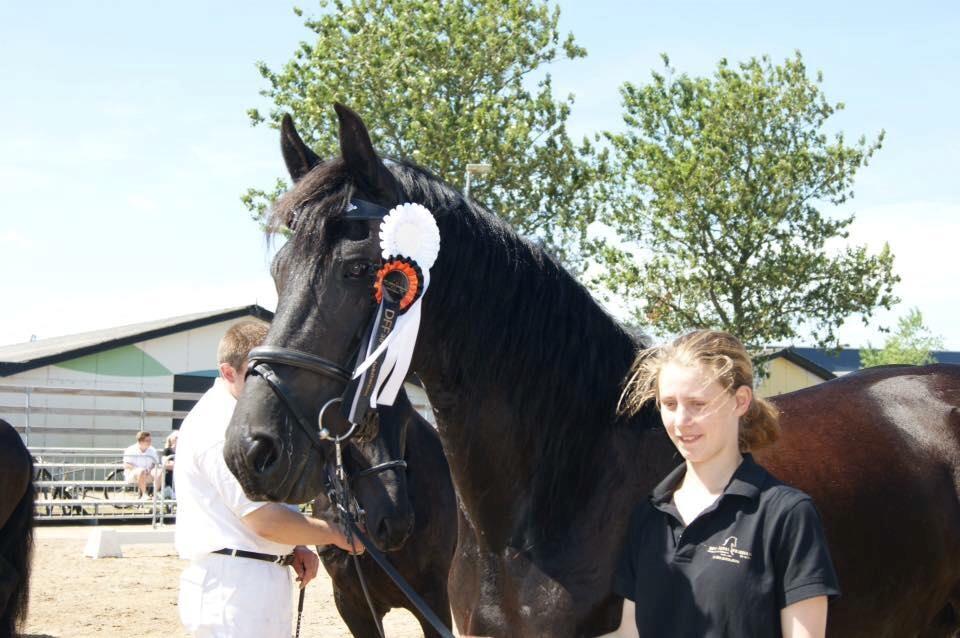 Frieser Hilde fan breuningswyck billede 6