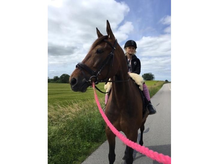 {{currentPhoto.altText}} billede {{currentPhoto.number}}