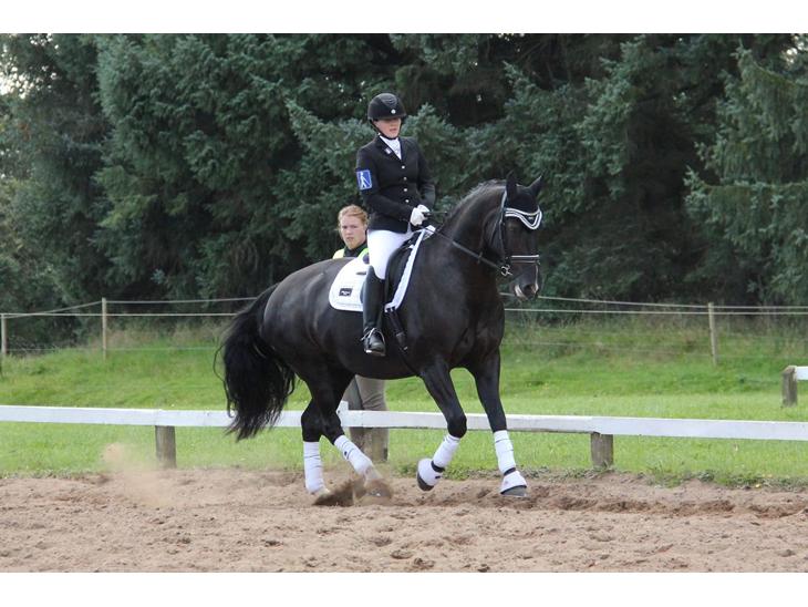 {{currentPhoto.altText}} billede {{currentPhoto.number}}