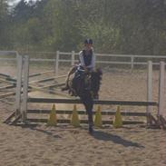 Anden særlig race misty