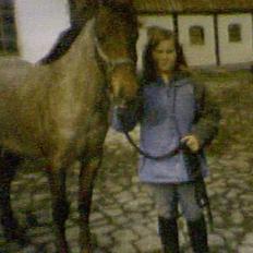 Hollandsk Sportspony Winnie solgt:( 