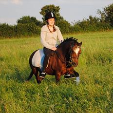 Anden særlig race Sigurd Olsen