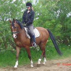 Anden særlig race Freeman <3 gammel part :/