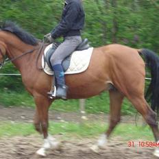 Anden særlig race Freeman <3 gammel part :/