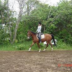 Anden særlig race Freeman <3 gammel part :/