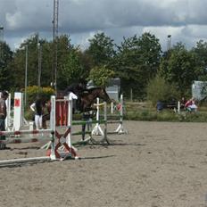 DSP Red Lady -  tidl. pony R.I.P :'(