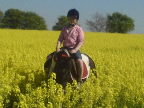 Anden særlig race Hunter  - Her rider siw på mig <3 billede 5