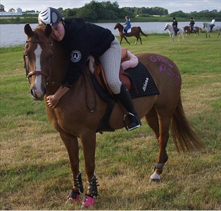 New Forest ATHENA - verdens bedste pony. billede 19