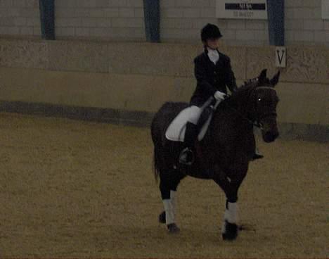 Anden særlig race Pernille*DØD* - mig og nelle mor på GGDR billede 11