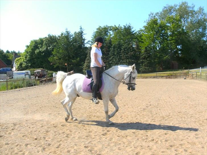 Anden særlig race Gøben  *Solgt* Min dreng - Mig der rider ham, og nej det ser ike godt ud. :D  billede 12