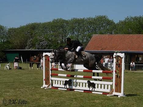 DSP West Side Sweet Babati  - Sævne i NVR den 5. maj 2007 billede 19