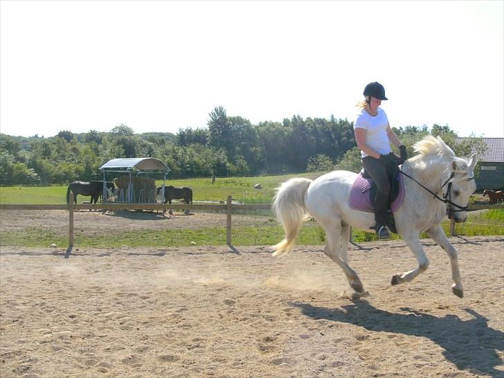 Anden særlig race Gøben  *Solgt* Min dreng - Mig der rider ham, og nej det ser ike godt ud. :D  billede 13