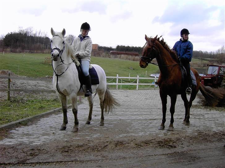 Anden særlig race Gøben  *Solgt* Min dreng - Mig på Gøben , og Gitte på en a dem hun rider .  billede 16