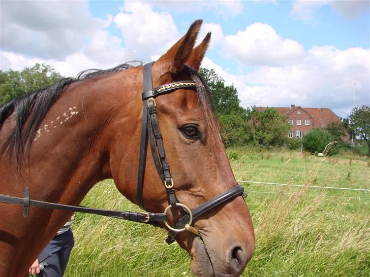 Traver First April - Smukke // Taget af Kia Hansen billede 10