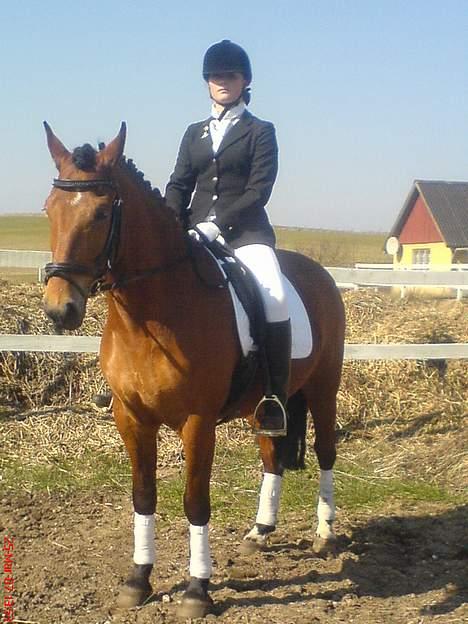 New Forest Enggaardens Frej billede 9