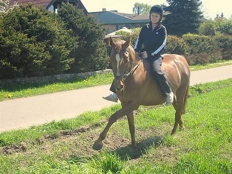 DSP Firhøjs Nobi R.I.P :'( - (Foto by: Maya, min vidunderlige part) billede 17