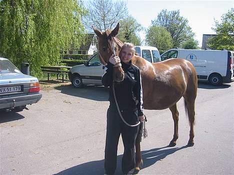 DSP Firhøjs Nobi R.I.P :'( - (Foto by: Maya, min vidunderlige part) billede 19