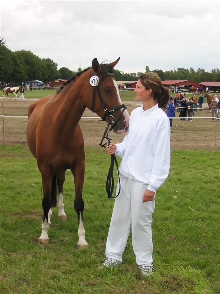 Arabisk fuldblod (OX) Chimia Solomon - Bedømmelse til store heste dag 2007. billede 6