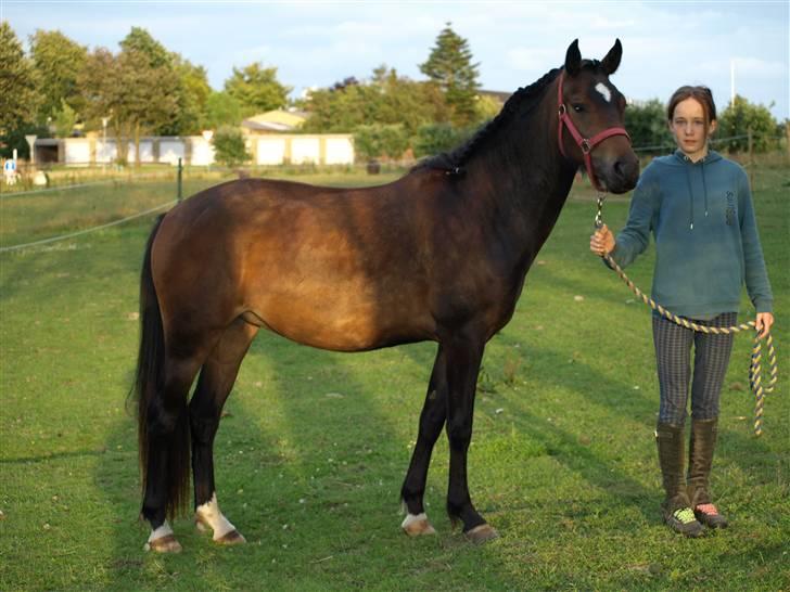 New Forest Riddersholms Silke  - 8) Trine og Silke. Taget af Matie. billede 8