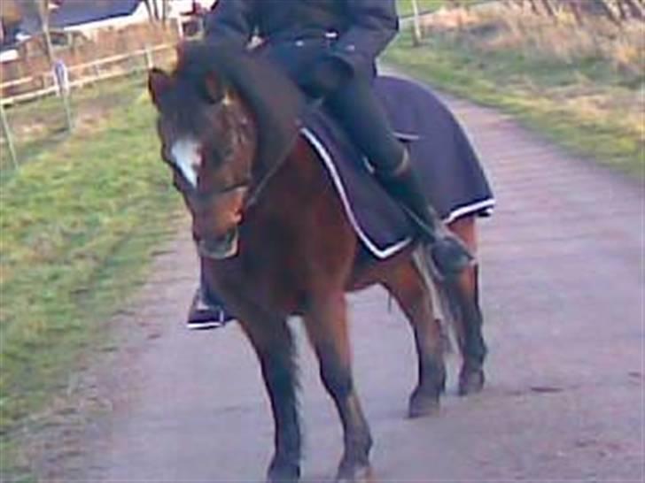 Anden særlig race Sigurd Olsen - Holder lige en pause. Taget af Trine. Undskyld Kvalitet. billede 9