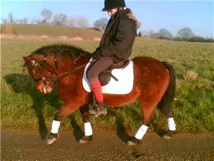 Anden særlig race Sigurd Olsen - Se hvor god jeg er. Taget af Julie billede 12