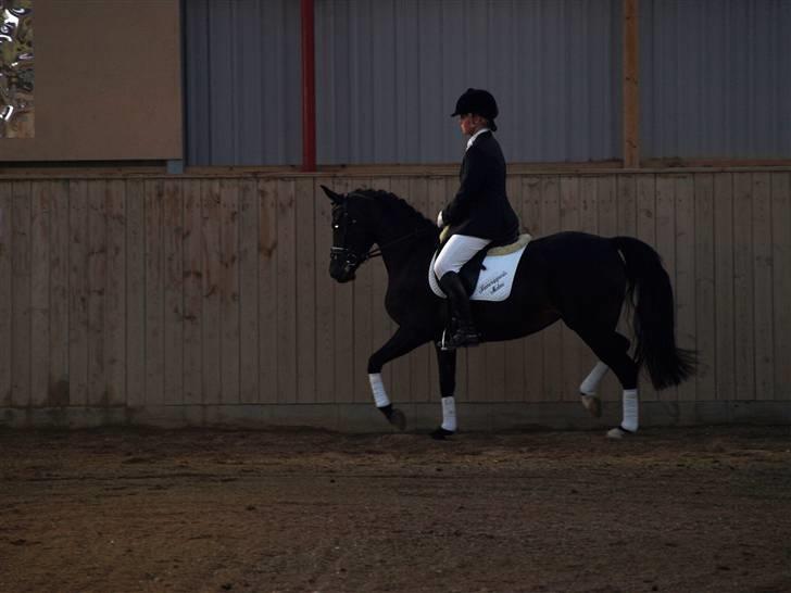 Anden særlig race Nannerupgaards Malou - Malou . Foto Sissel billede 4