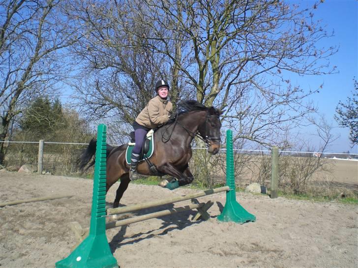 Anden særlig race Fighter Dianado *R.I.P.* - Figh og Pernille springer 75 cm. Foto: SabinaBM billede 3