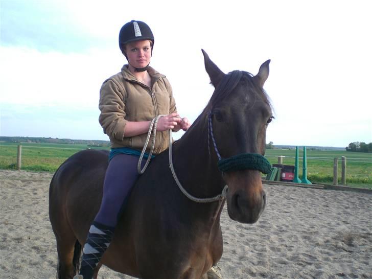 Anden særlig race Fighter Dianado *R.I.P.* - Pernille rider Figh i HMS grime Foto: SabinaMB billede 4