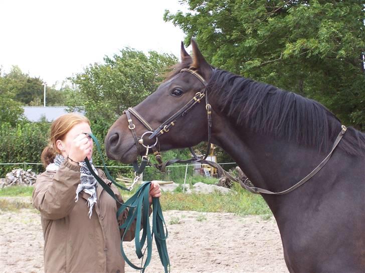Anden særlig race Fighter Dianado *R.I.P.* - Kærlighed billede 9