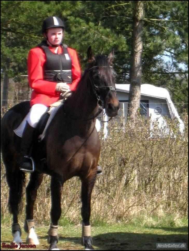 Anden særlig race Fighter Dianado *R.I.P.* - Figh og Pernille på jagt, de fuldførte<3 billede 11