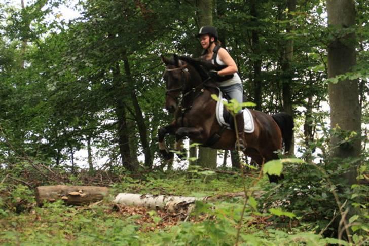 Anden særlig race Fighter Dianado *R.I.P.* - Pernille og Figh terræn på Vålseridelejre 2009 billede 13