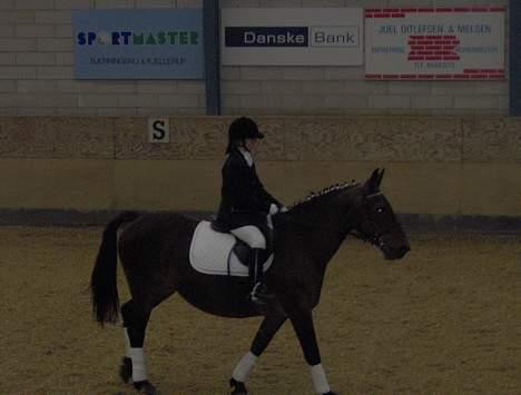 Anden særlig race Pernille*DØD* - mig og nelle mor på GDR billede 13