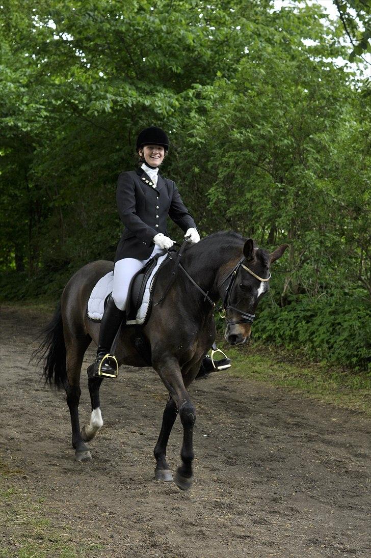 New Forest Elmholts Education A-pony (solgt) - På vej på banen. Broholm. © Foto Jan Vleugel billede 12