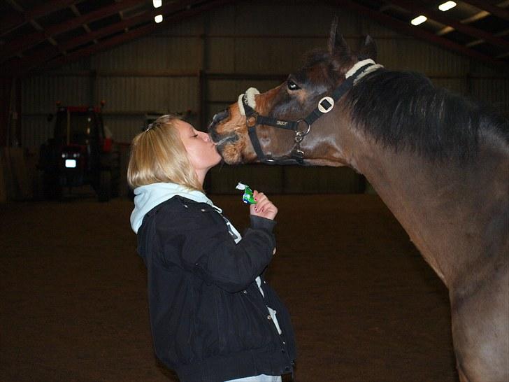 Anden særlig race ¤ Dyrkærgårds Atlantis ¤  - Det sidste kys! :´( billede 1