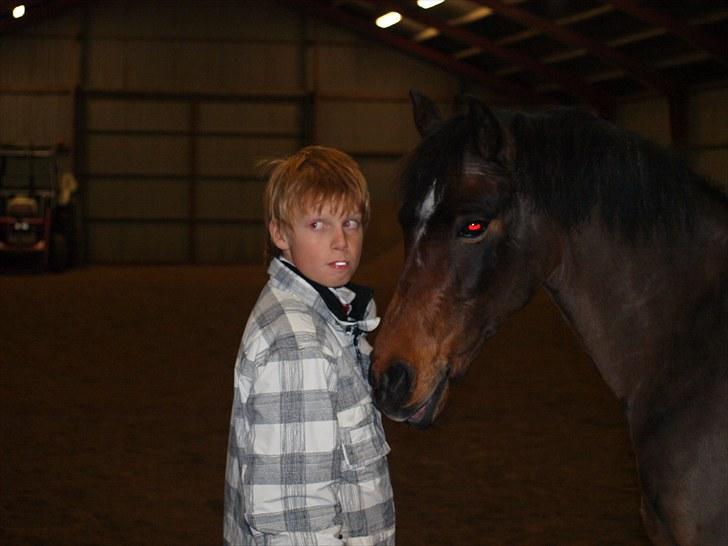 Anden særlig race ¤ Dyrkærgårds Atlantis ¤  - Lillebror og Atlantis (: billede 2