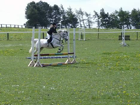Anden særlig race siox - udestævende i MGR  billede 7