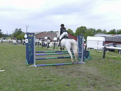 Anden særlig race siox - udestævende på siox i mgr billede 8