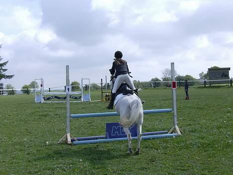 Anden særlig race siox - udestævende lc p.s. jeg vandt! billede 9