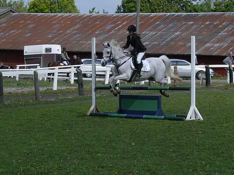Anden særlig race siox - udestævende på MRG lc billede 10