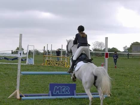 Anden særlig race siox - lc omspringning billede 11