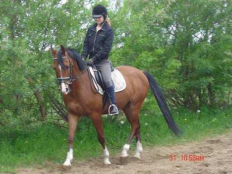 Anden særlig race Freeman <3 gammel part :/ - første gang jeg red ham, den 13 maj 2007 :P hvor er han fiiin xD <3 (:  billede 1