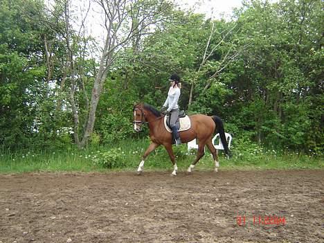 Anden særlig race Freeman <3 gammel part :/ - der kommer flere billeder når jeg får taget nogle xD billede 3