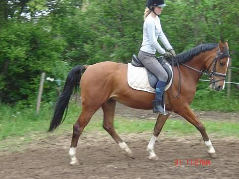 Anden særlig race Freeman <3 gammel part :/ billede 4