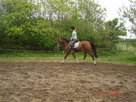 Anden særlig race Freeman <3 gammel part :/ billede 5