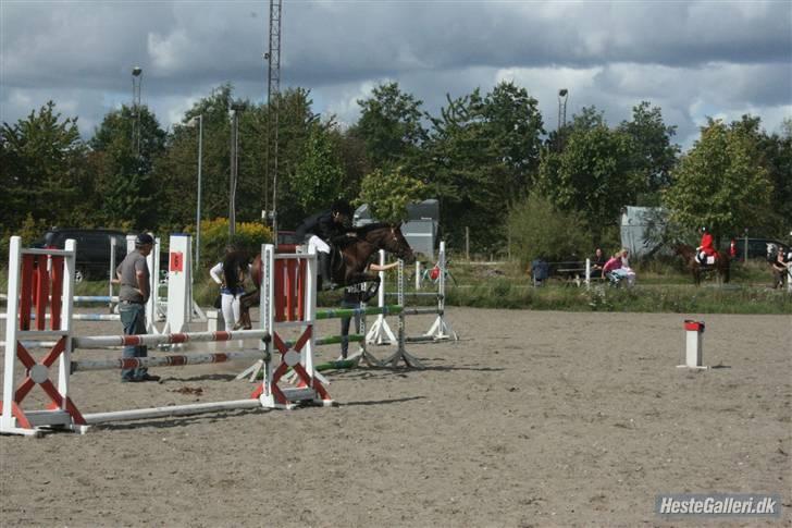 DSP Red Lady -  tidl. pony R.I.P :'( - LA billede 3