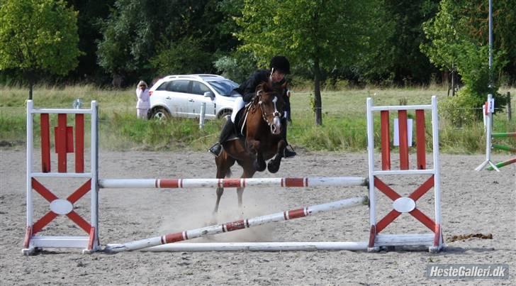 DSP Red Lady -  tidl. pony R.I.P :'( - LTR stævne. LA billede 5